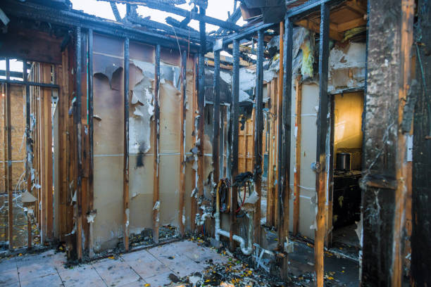 Professional Odor Removal technician working in Delphi, IN